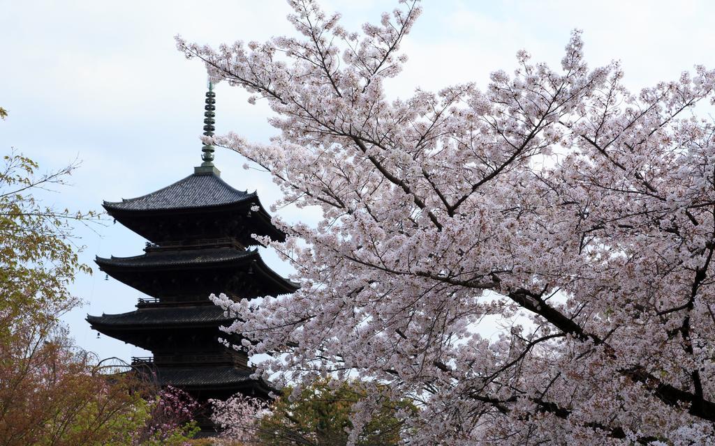 Miyanoan Kyoto